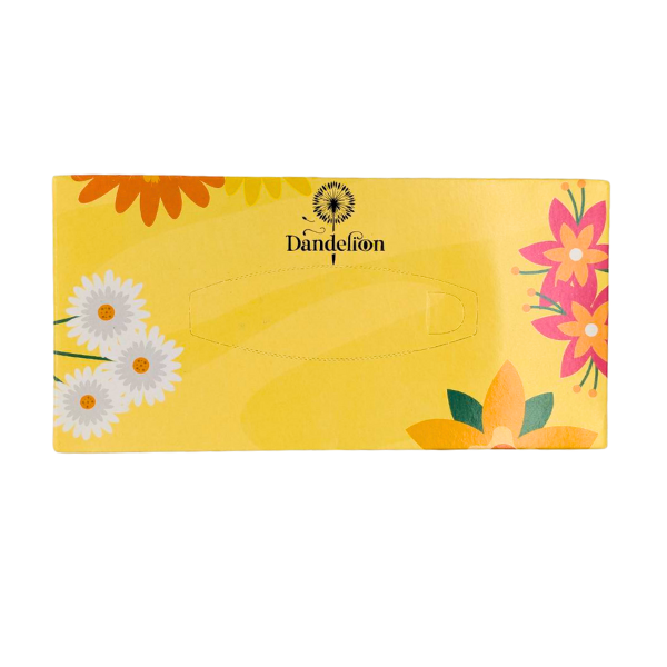 Facial Tissue Box – 150 / 200 / 300 Pulls × 2 Ply | 30 Boxes per Carton | Soft & Premium Quality - Image 10