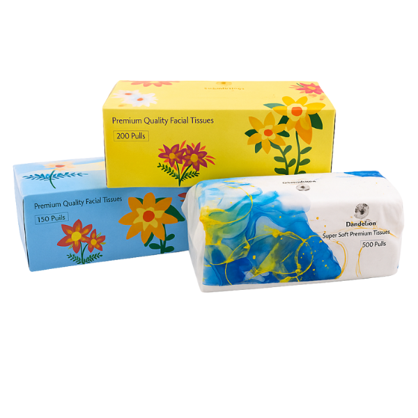 Facial Tissue Box – 150 / 200 / 300 Pulls × 2 Ply | 30 Boxes per Carton | Soft & Premium Quality
