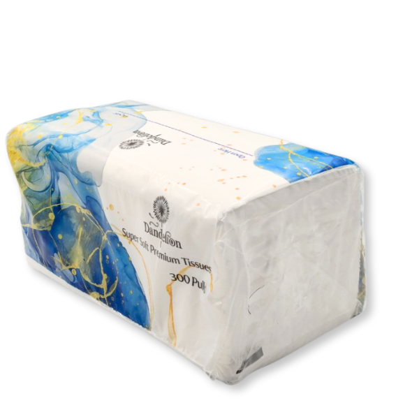 Facial Tissue Box – 150 / 200 / 300 Pulls × 2 Ply | 30 Boxes per Carton | Soft & Premium Quality - Image 4