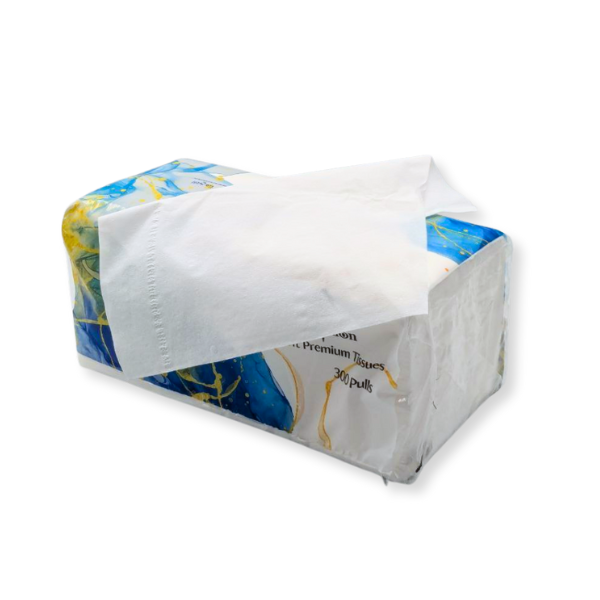 Facial Tissue Box – 150 / 200 / 300 Pulls × 2 Ply | 30 Boxes per Carton | Soft & Premium Quality - Image 2